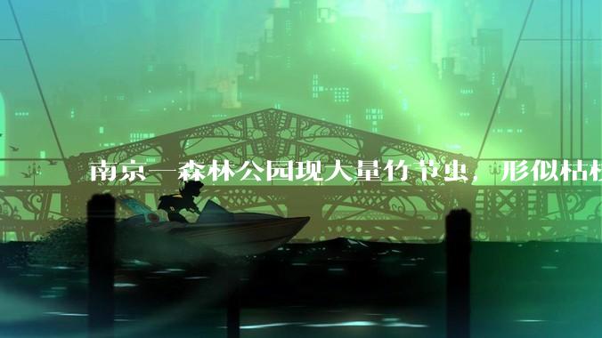 南京一森林公园现大量竹节虫，形似枯枝，网友称凑近才发现是虫子落荒而逃，竹节虫会不会咬人？碰到它会怎样？