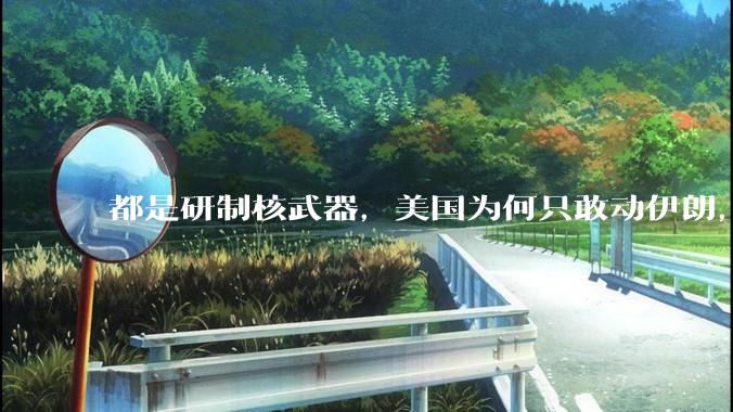 都是研制核武器，美国为何只敢动伊朗，对朝鲜却畏首畏尾？