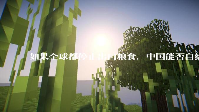 如果全球都停止出口粮食，中国能否自给自足？