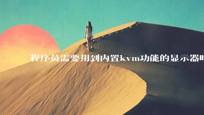 程序员需要用到内置kvm功能的显示器吗？或者是外置的kvm切换器吗？