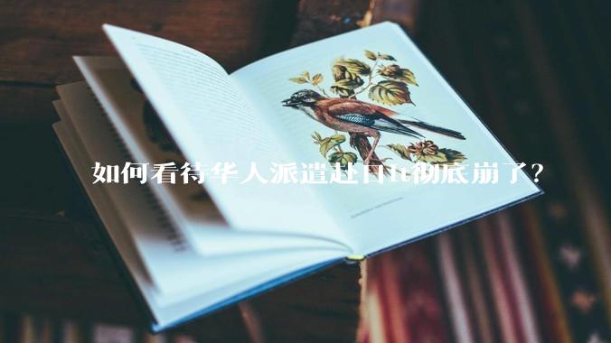 如何看待华人派遣赴日it彻底崩了？